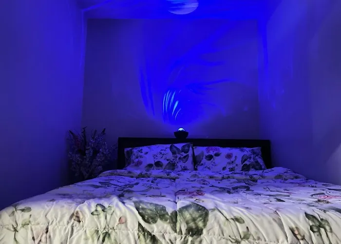 Impact Arena 1br With Separate Living And Kitchen *